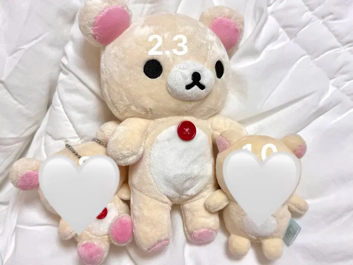 코리락쿠마 인형 기본 누이