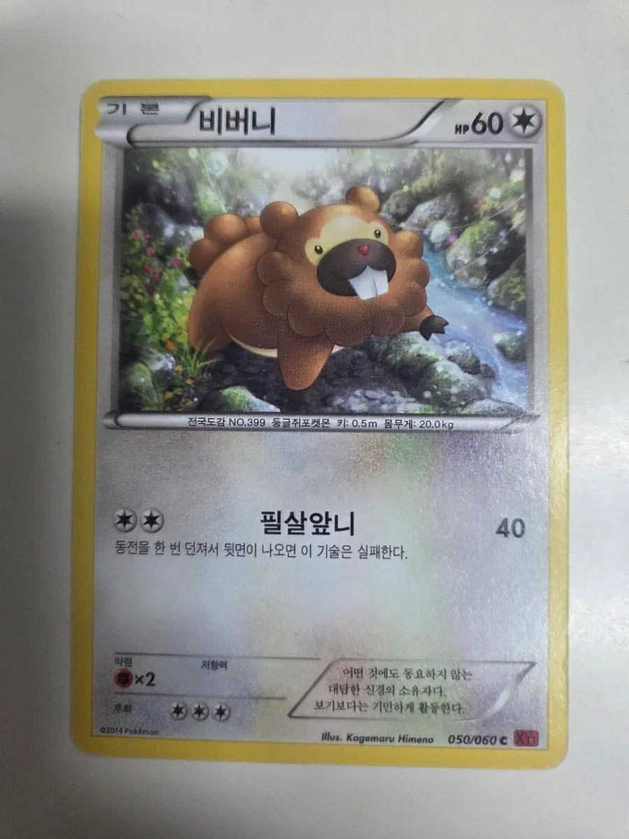 포켓몬 카드 XY시리드 비버니 050/060 C