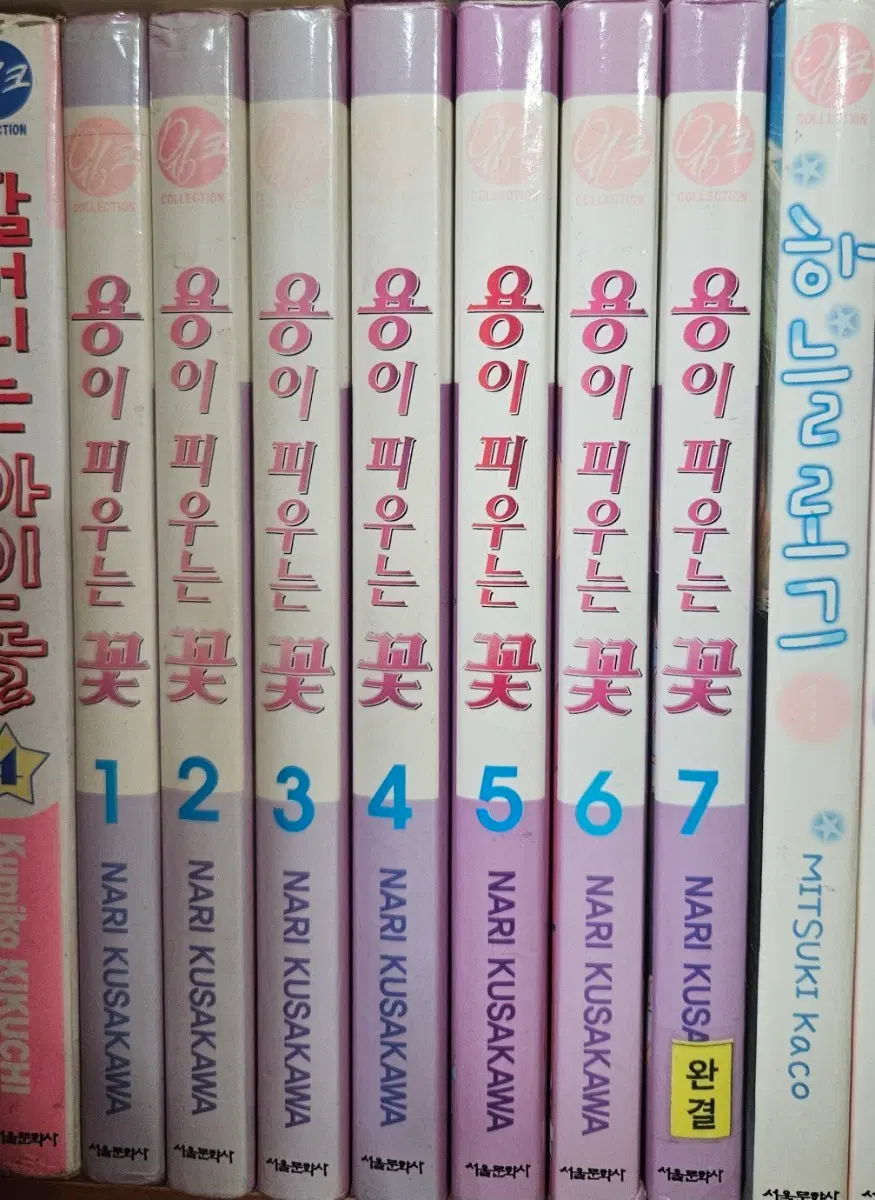 용이 피우는 꽃1-7완