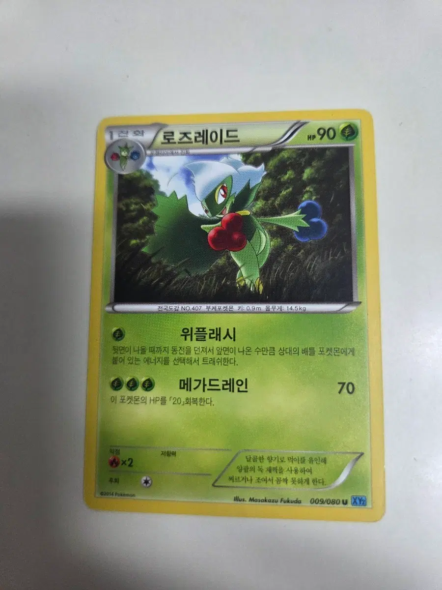 포켓몬 카드 로즈레이드 009/080 XY2