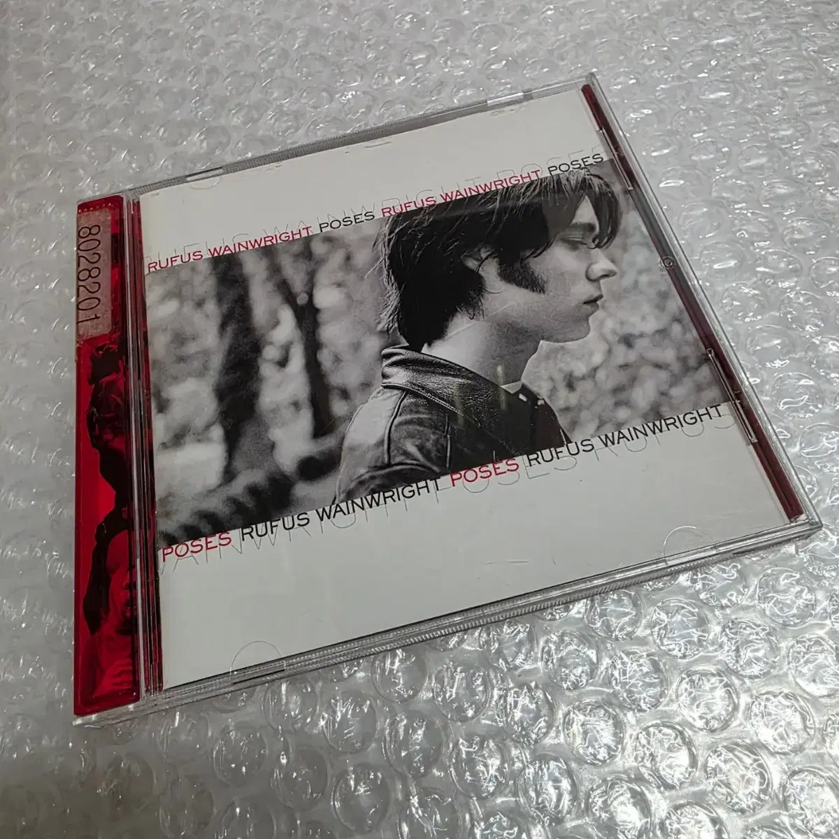 Rufus Wainwright 루퍼스 웨인라이트 Poses