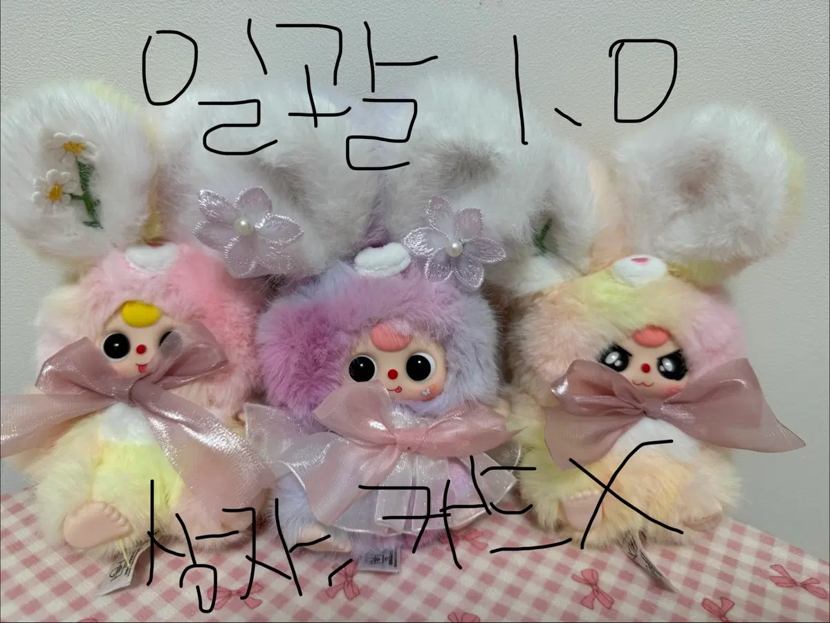 베이비쓰리 꽃잎 (일괄)