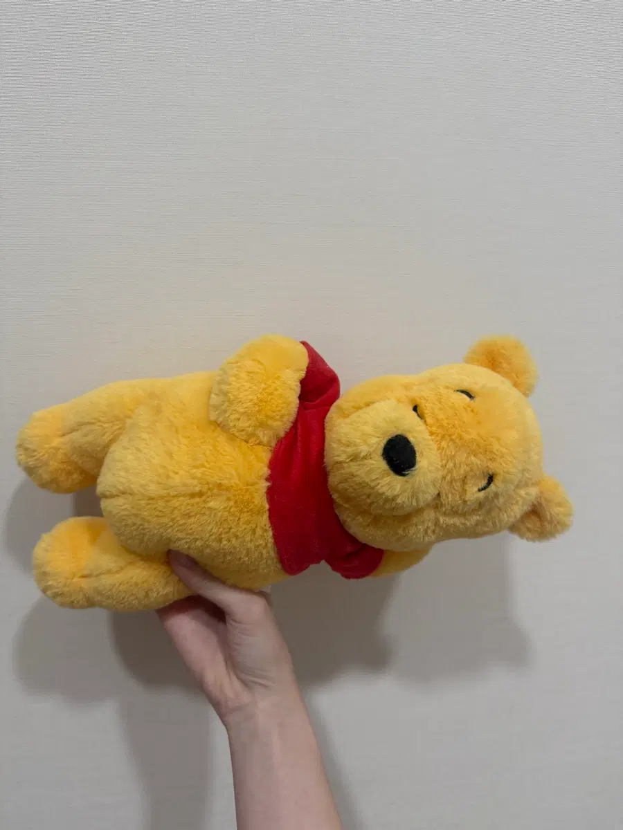 도쿄 디즈니랜드 곰돌이 푸 인형 희귀