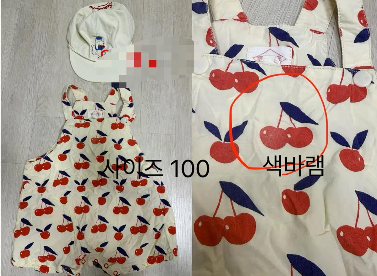 베베트피노 일괄