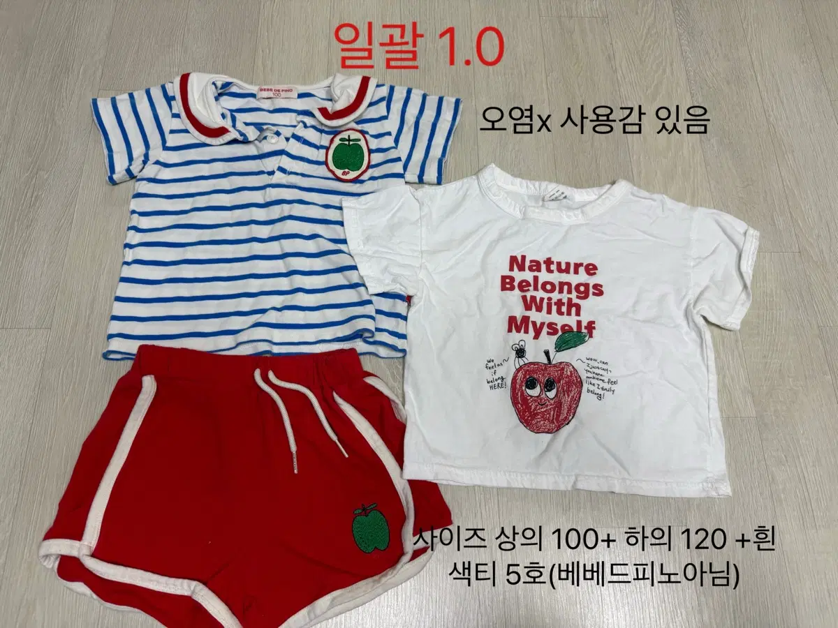 베베트피노 일괄