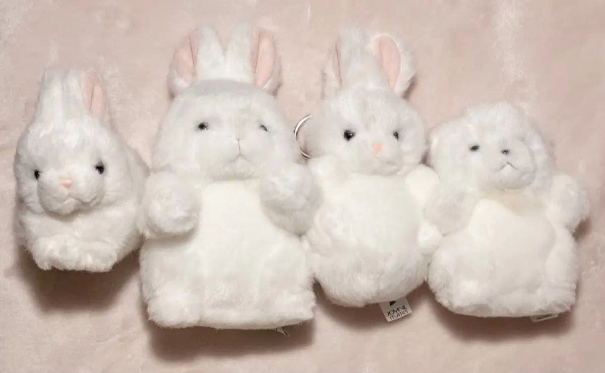 조이풀메이트~ 귀여운 토끼 곰 인형들 일괄 판매!