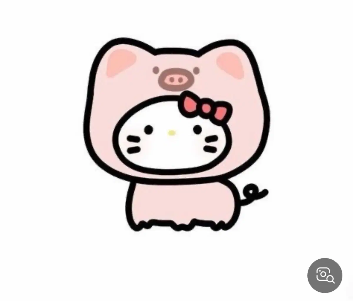 레이 태닝 결제창