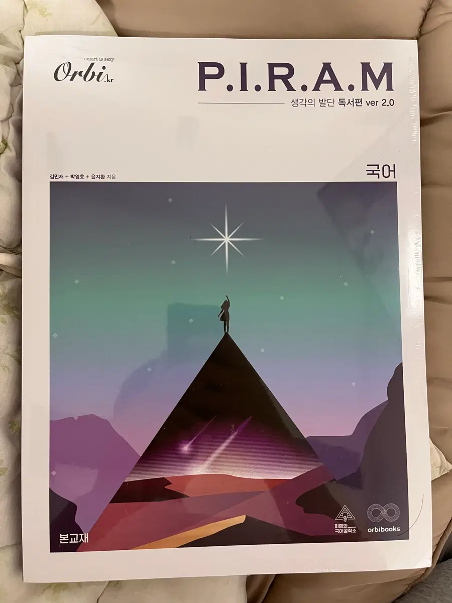 국어 피램 생각의 발단 독서편 P.I.R.A.M