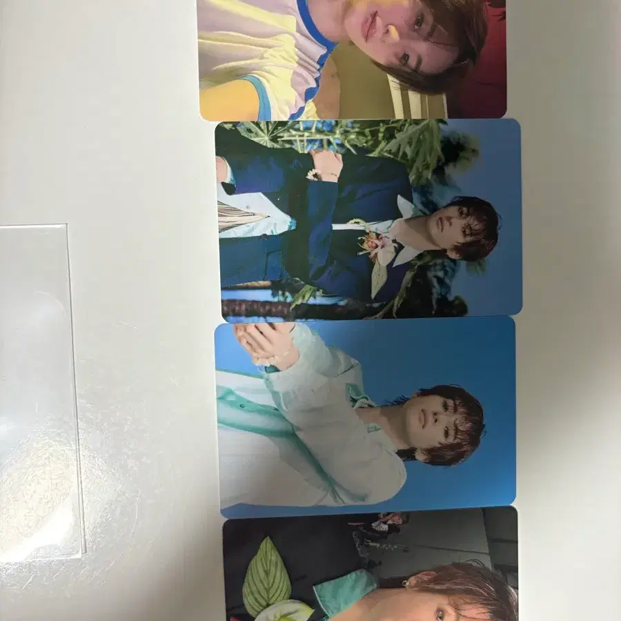 라이즈 sunburst 썬버스트 개인반 앤톤 풀세트