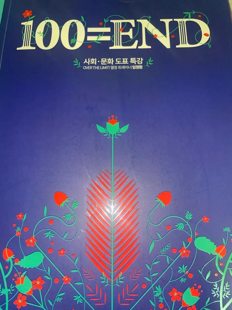 2024 임정환 사회문화 도표특강