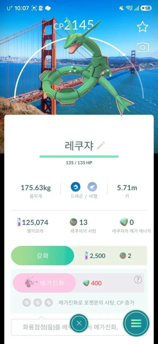 로케 레쿠쟈
