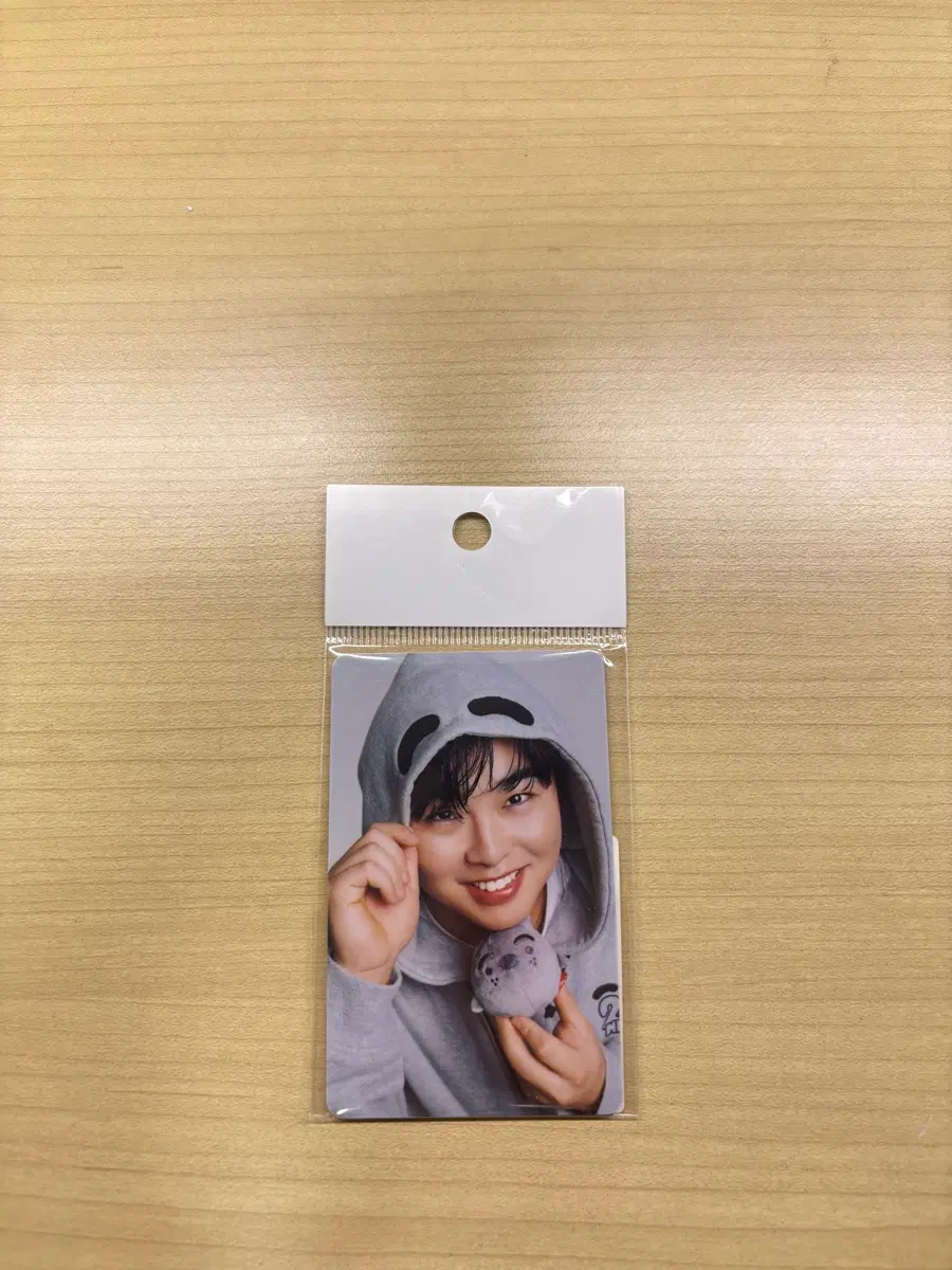 문현빈 문돌멩 포카