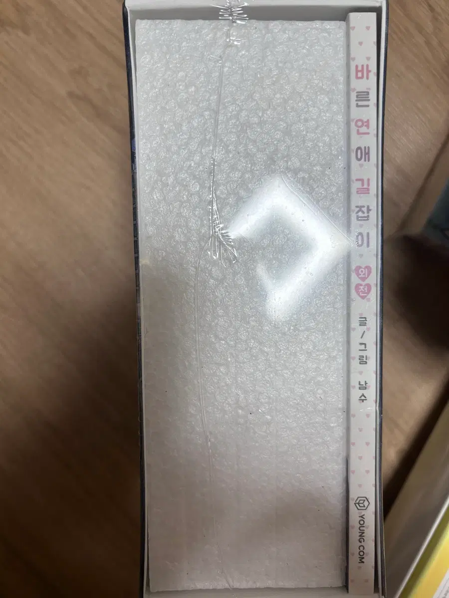 바른연애길잡이 외전