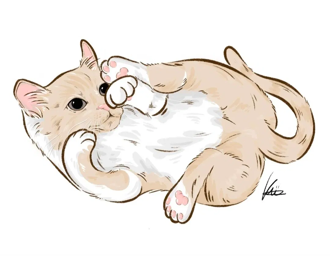 반려동물 그림 커미션