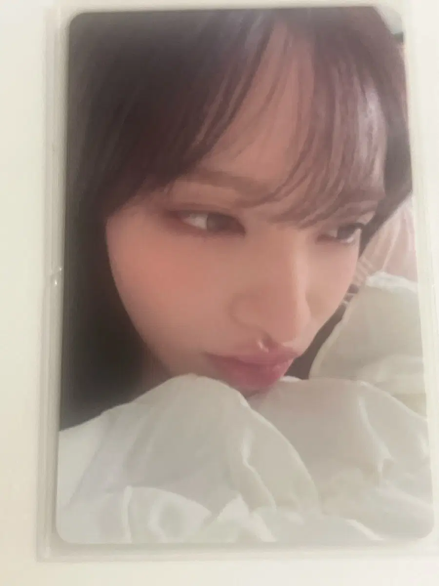 루시드드림 리즈 타워레코드