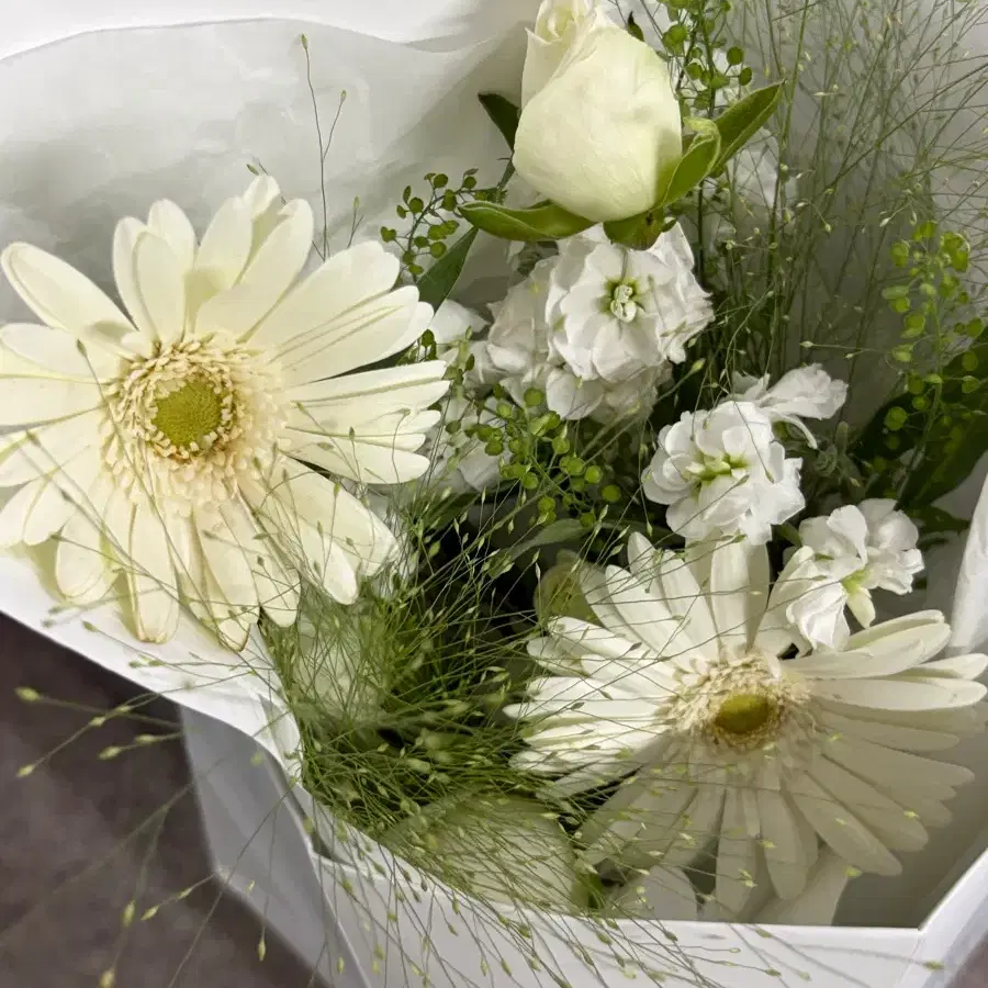 라벨르블랑 줄리엣 빈티지 블라우스 구해요