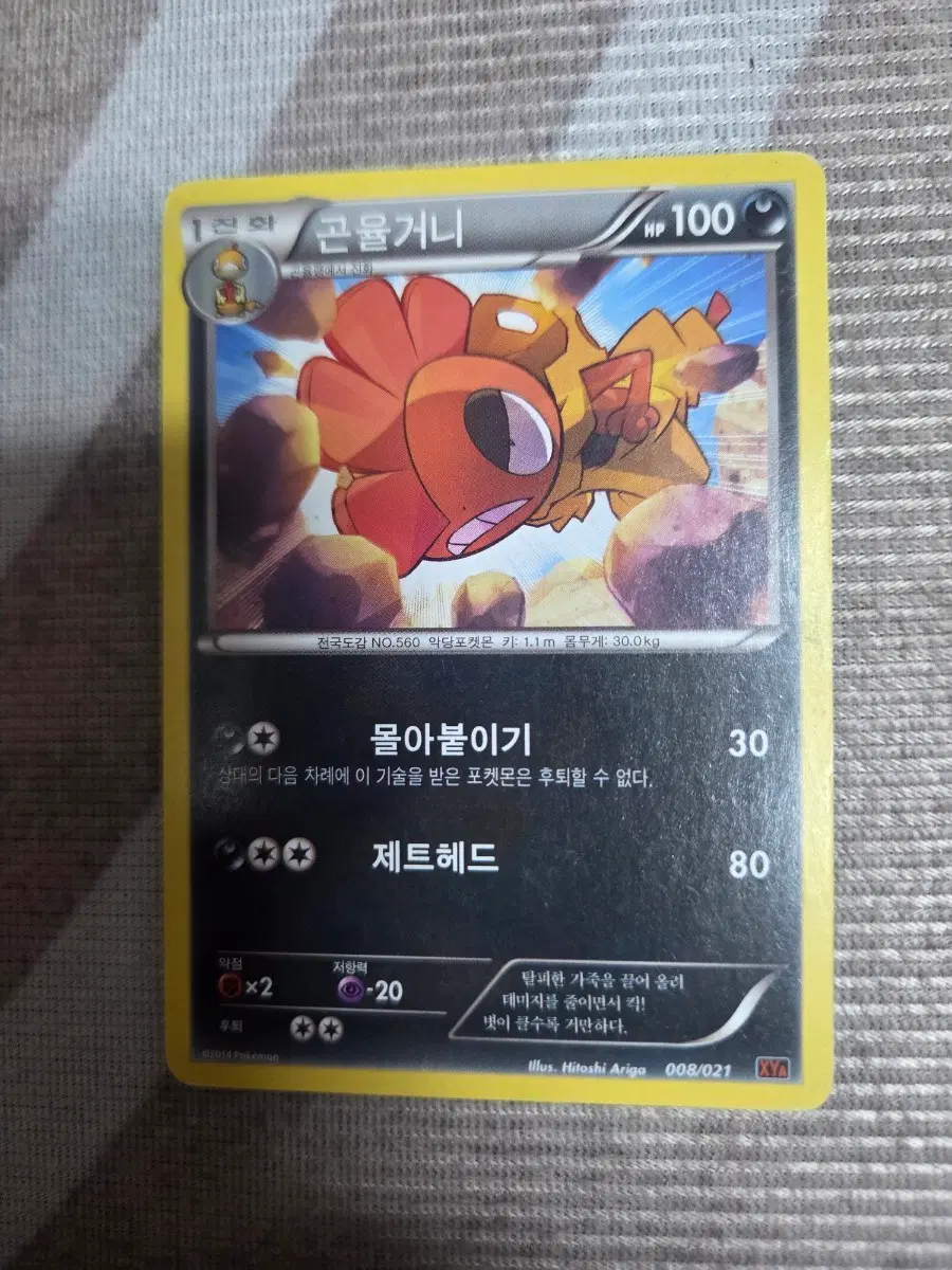 포켓몬카드 XY 곤율거니