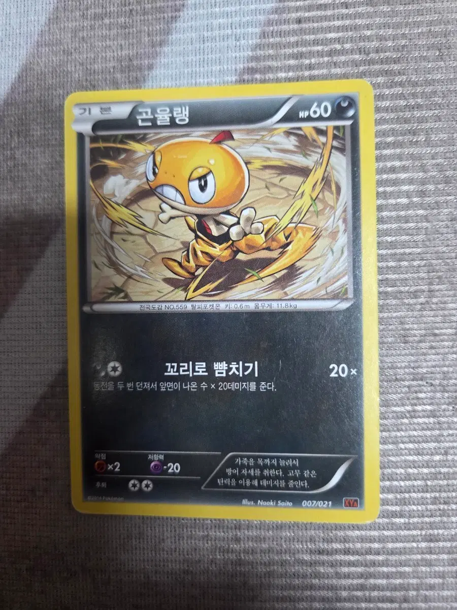 포켓몬카드 곤율랭 XY