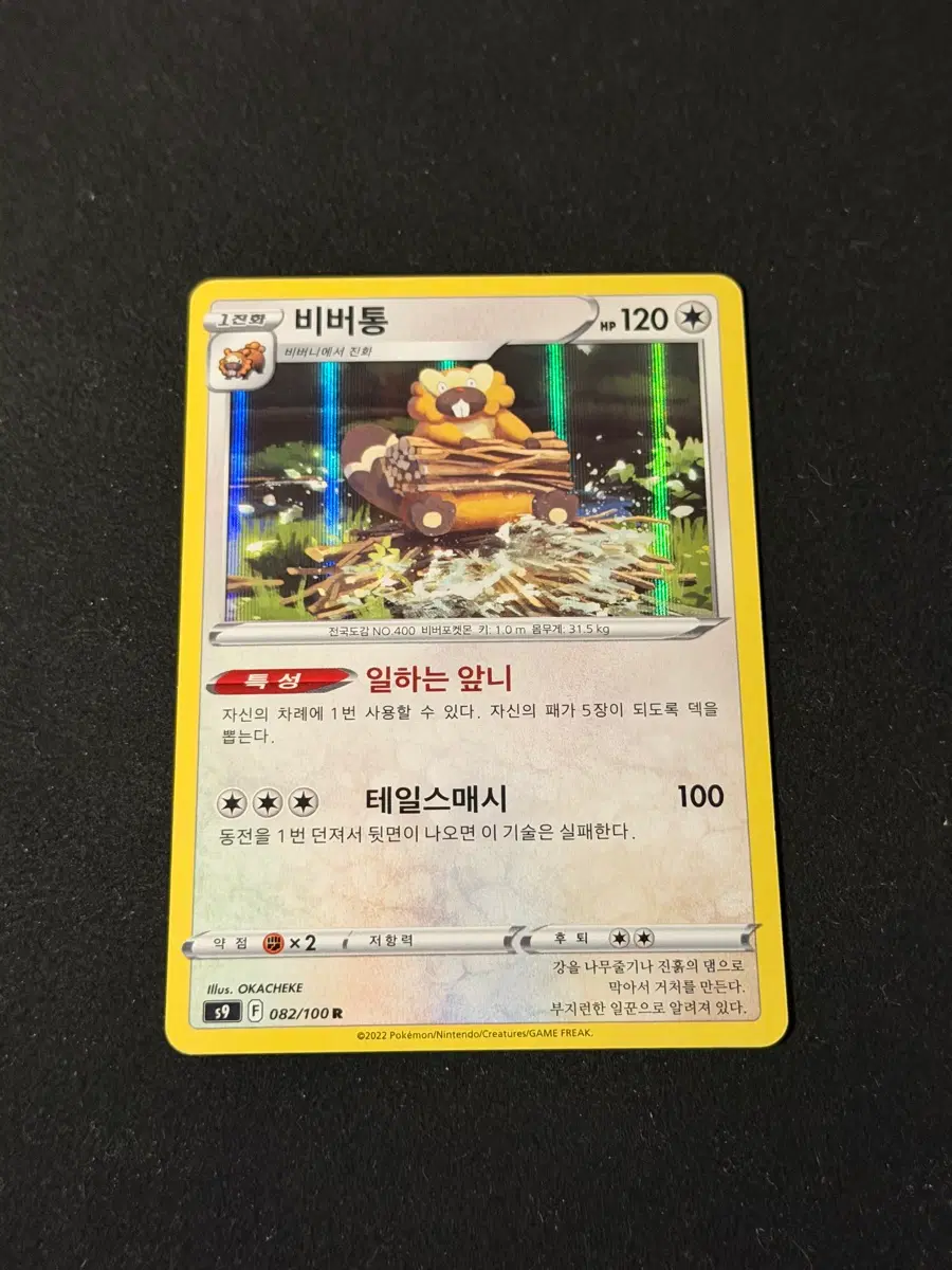 고전 홀로 포켓몬 카드 비버통