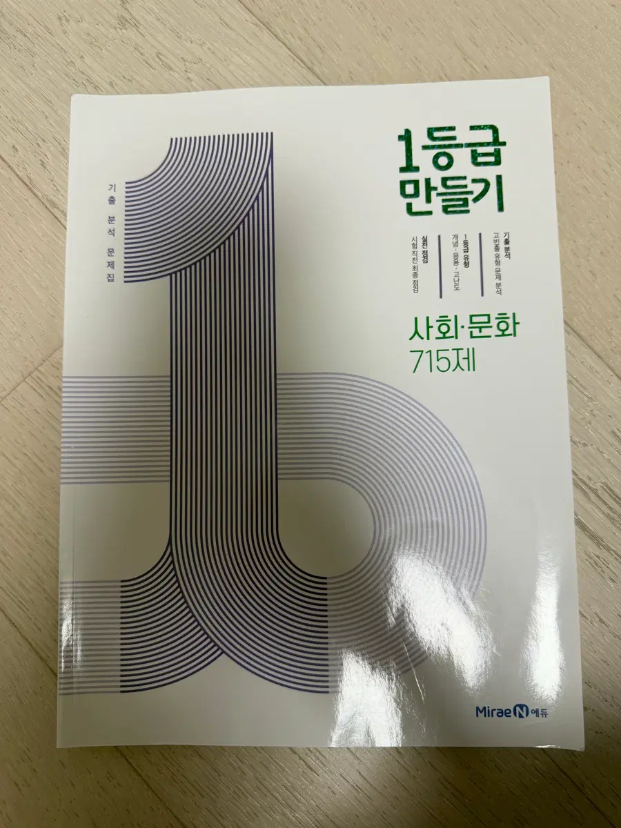 1등급 만들기 사회문화
