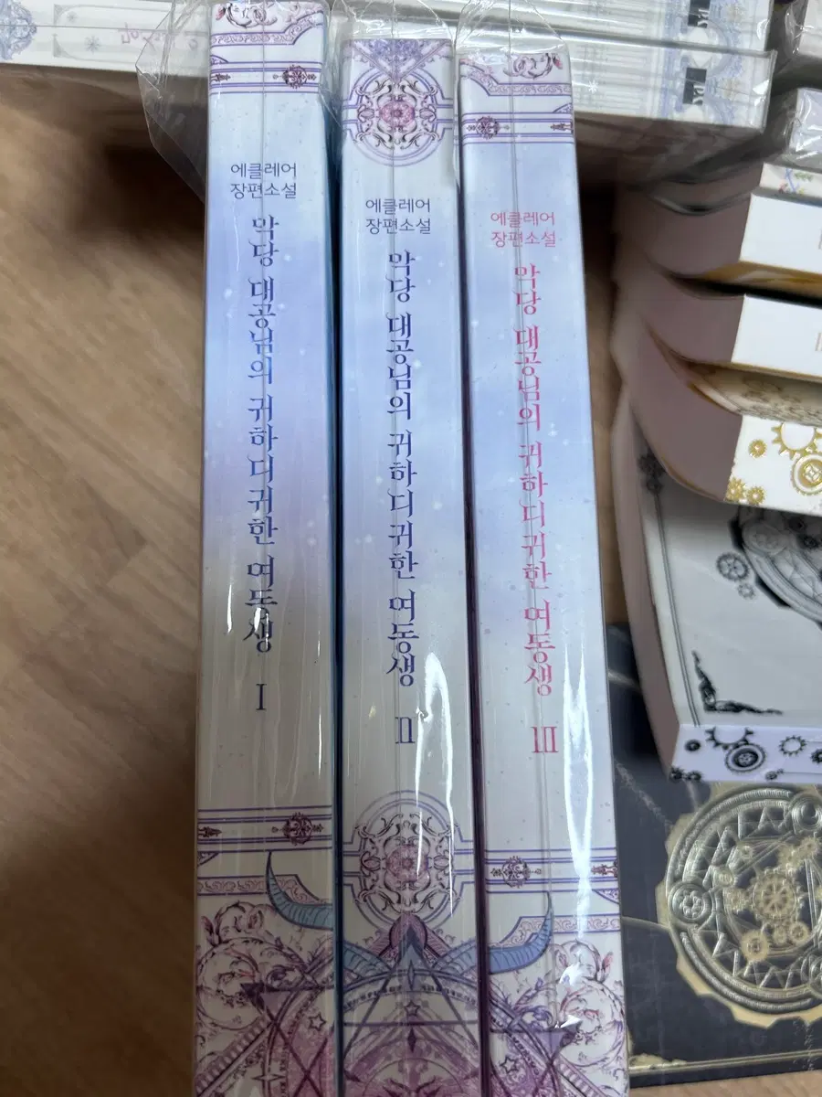 악당대공님의 귀하디 귀한 여동생