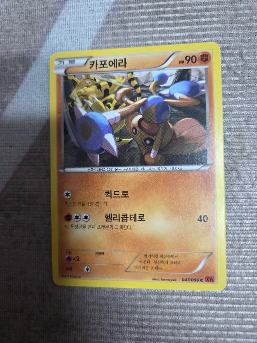 포켓몬카드 XY 카포에라 90HP