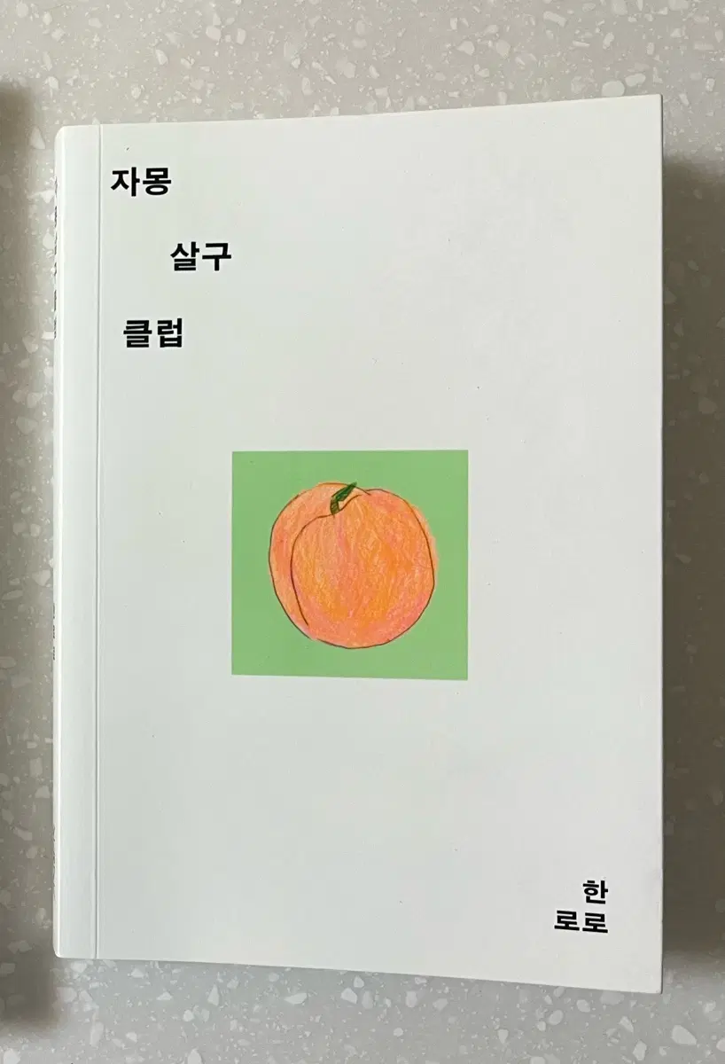 자몽 살구 클럽
