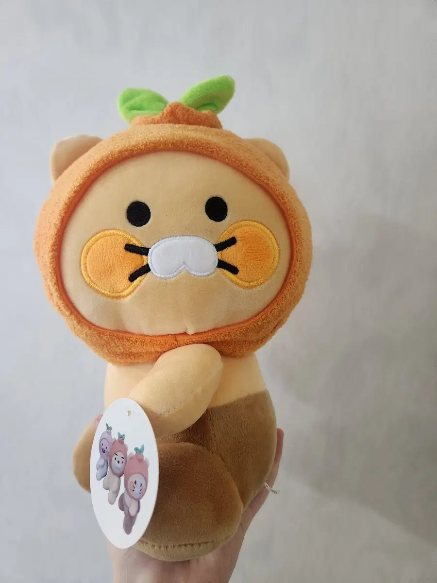 춘식이 감귤 모자 인형