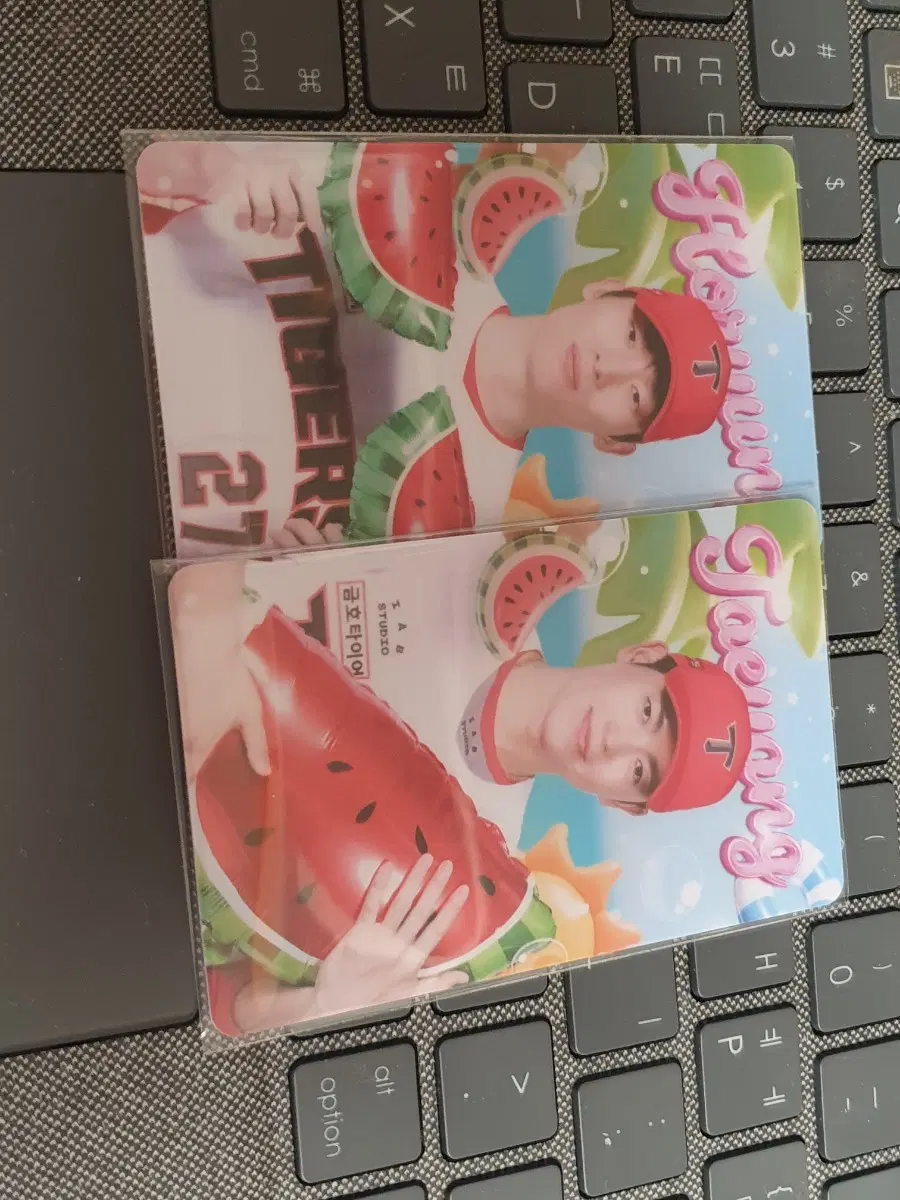 기아 타이거즈 김호령 이태양 여름 냠 수박 포카