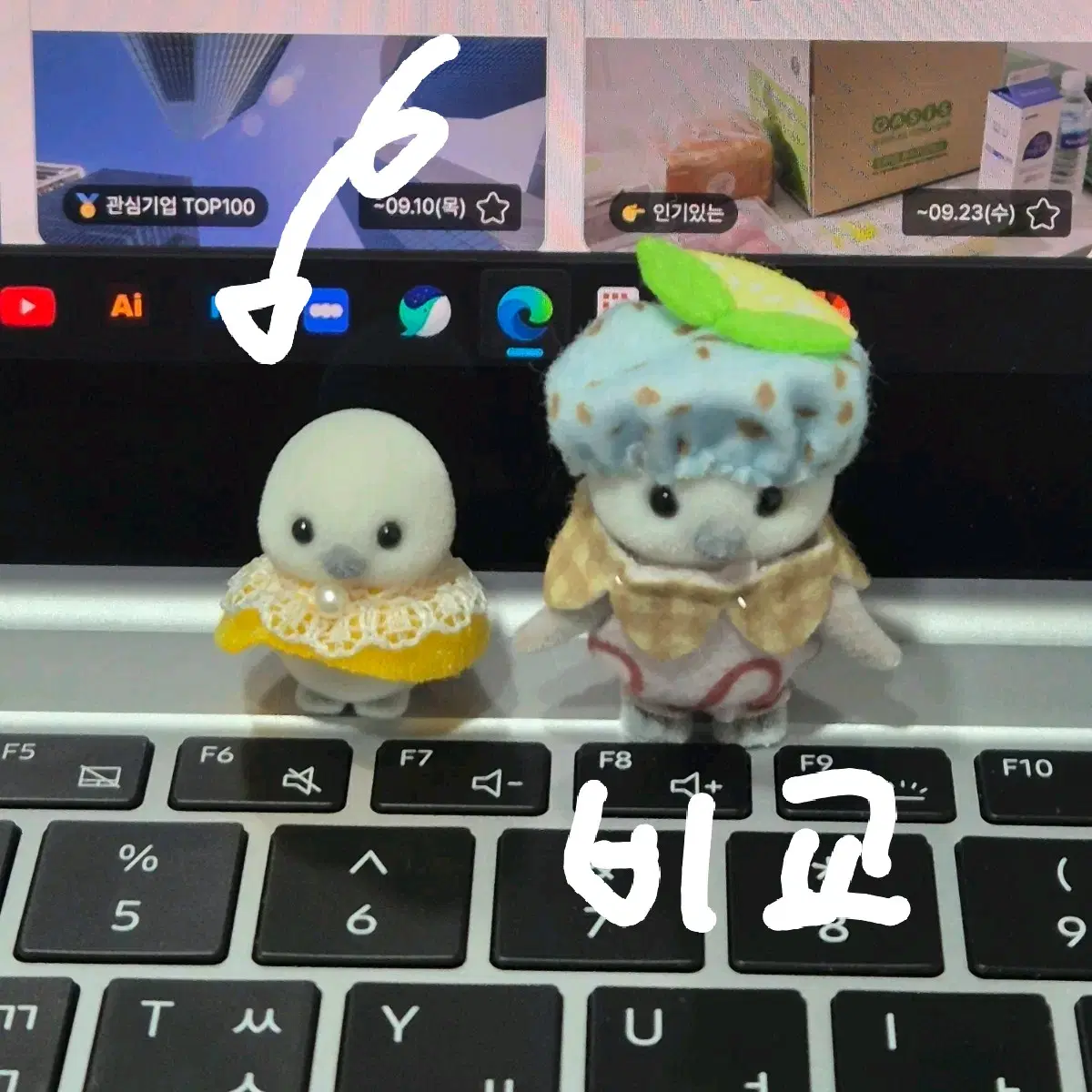 실바니안 오목눈이 새 신생아