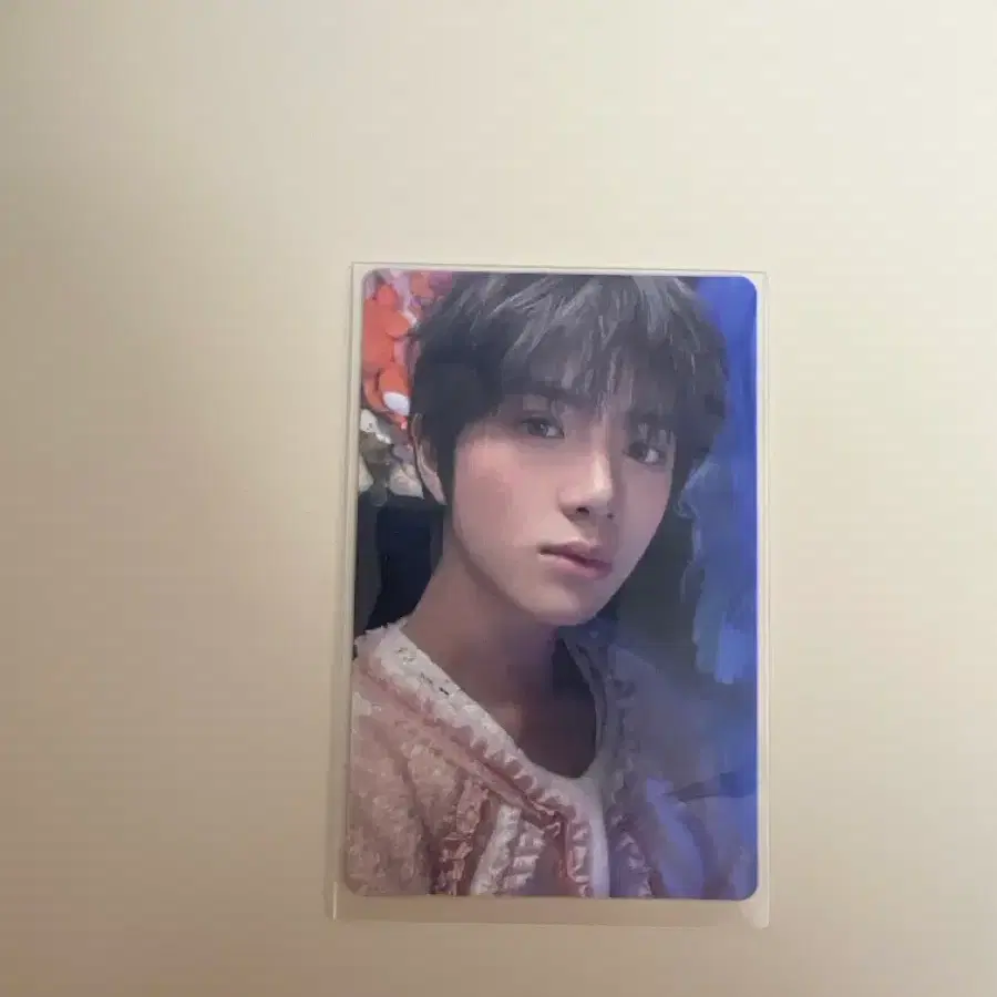 템테이션 앨포 범규