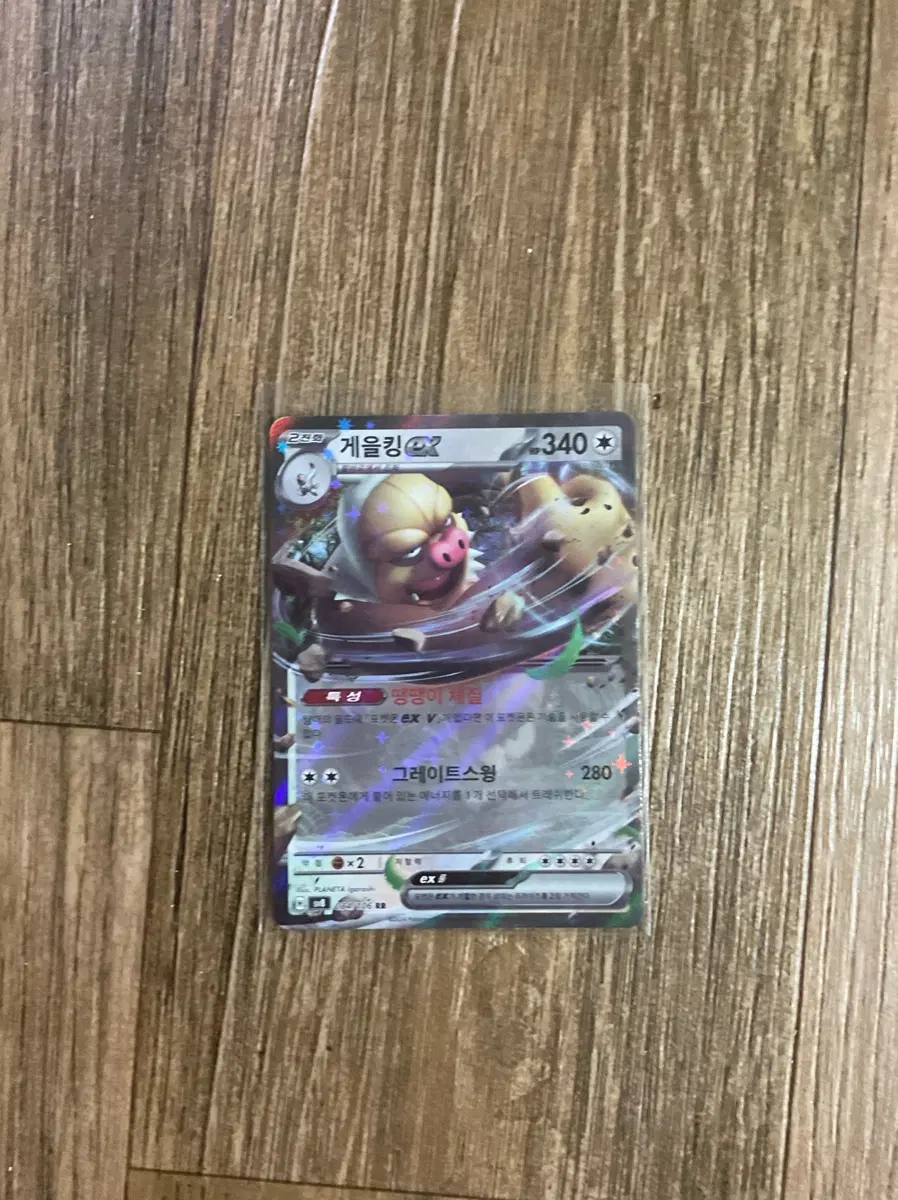 게을킹 EX RR
