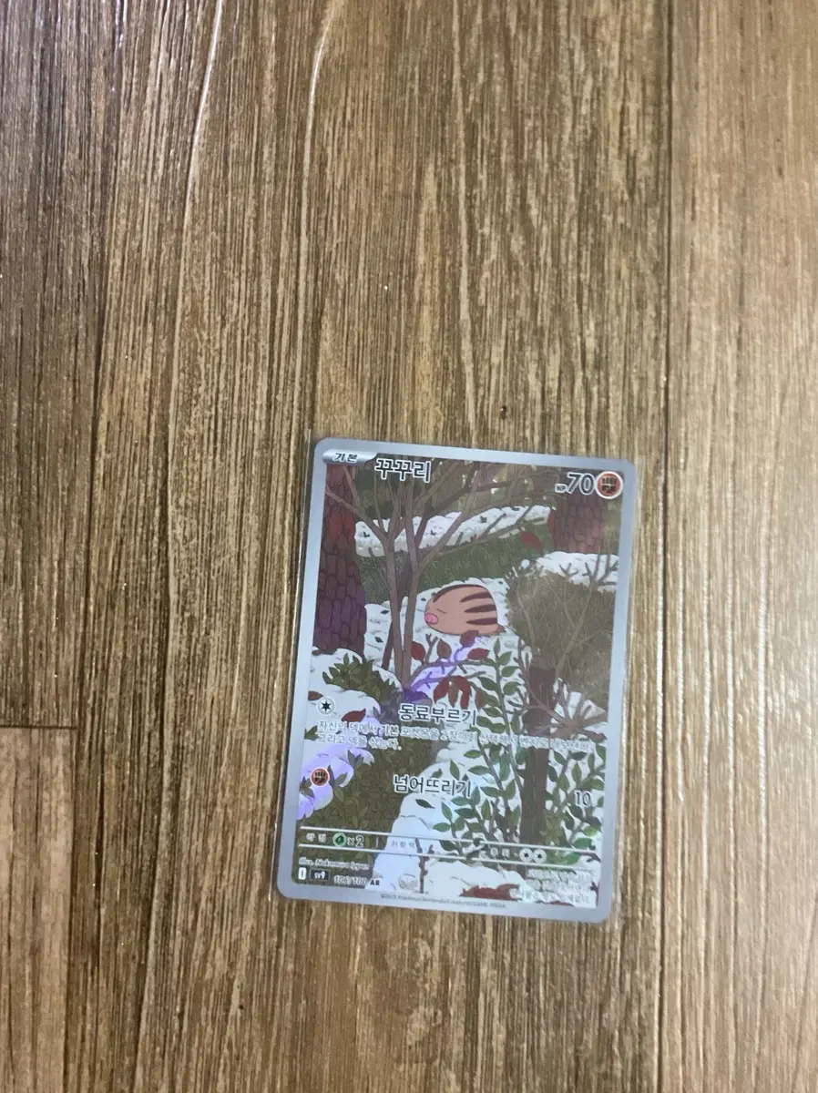 꾸꾸리AR