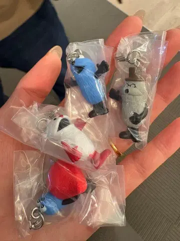 순순 메지루시 액세서리