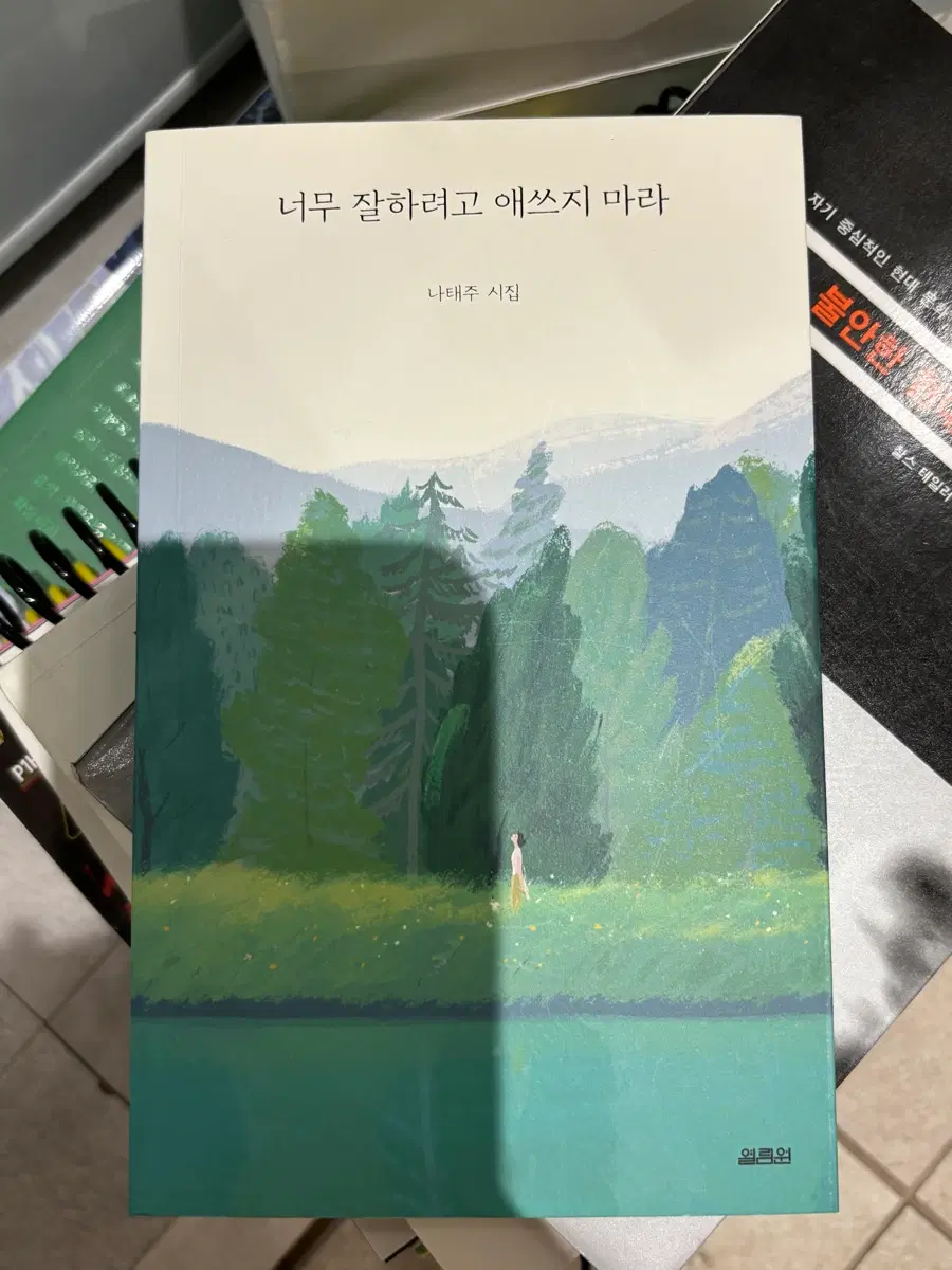 나태주 시집 너무 잘하려고 애쓰지마라 판매합니다