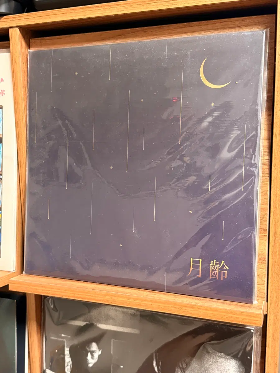 심규선(루시아) 월령 LP