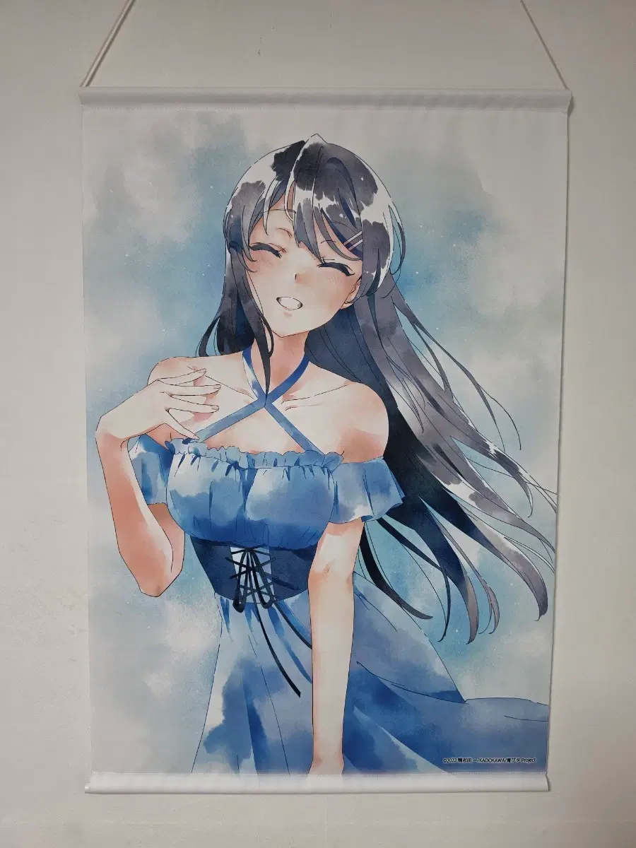 청춘돼지 전시회 사쿠라지마 마이 족자봉