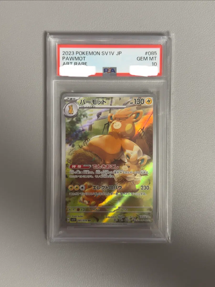 일판 빠모트 AR PSA10