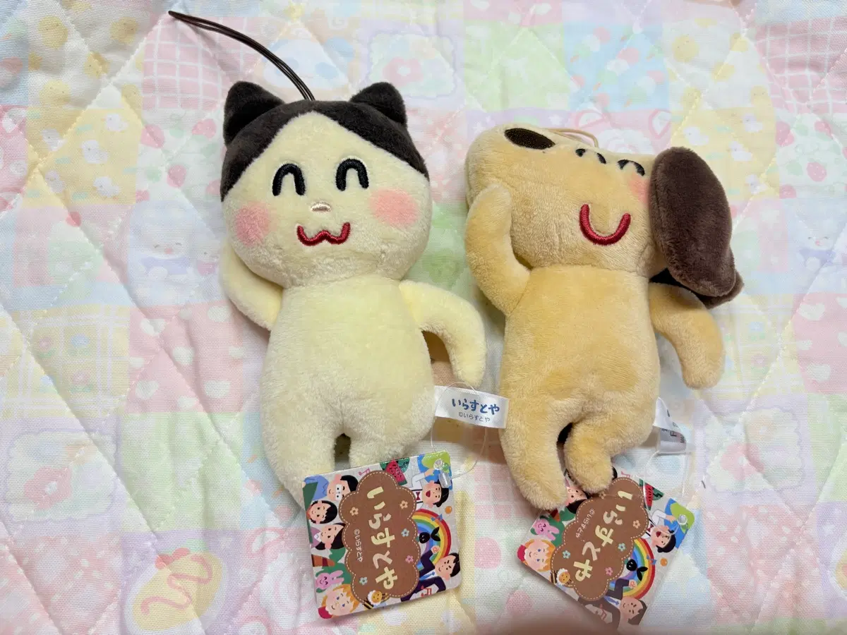 이라스토야 고양이 강아지 인형 세트