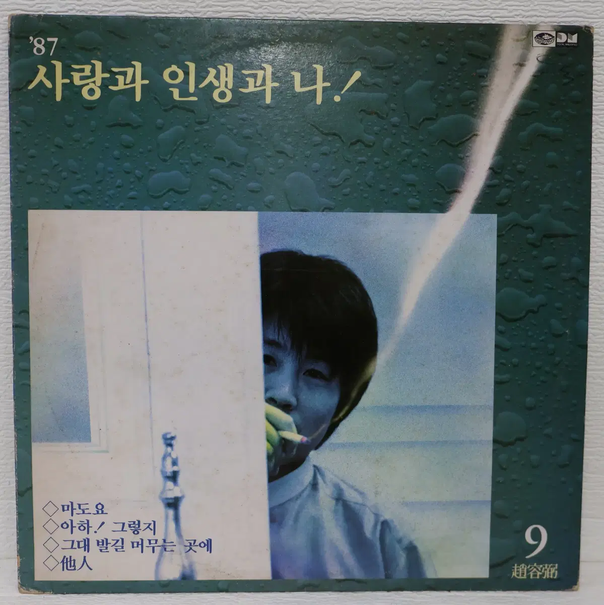 [NO.6407] 조용필 9집/87 사랑과 인생과 나 (마도요/아하! 그렇지/타인) LP음반