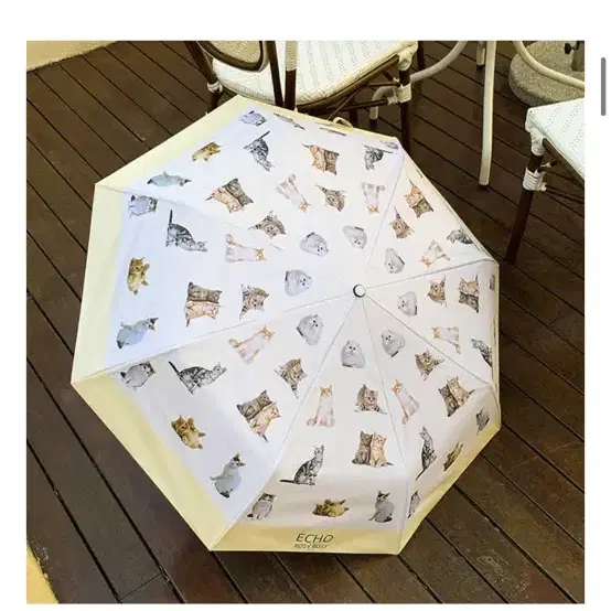 데데리트 고양이 3단 자동 양우산