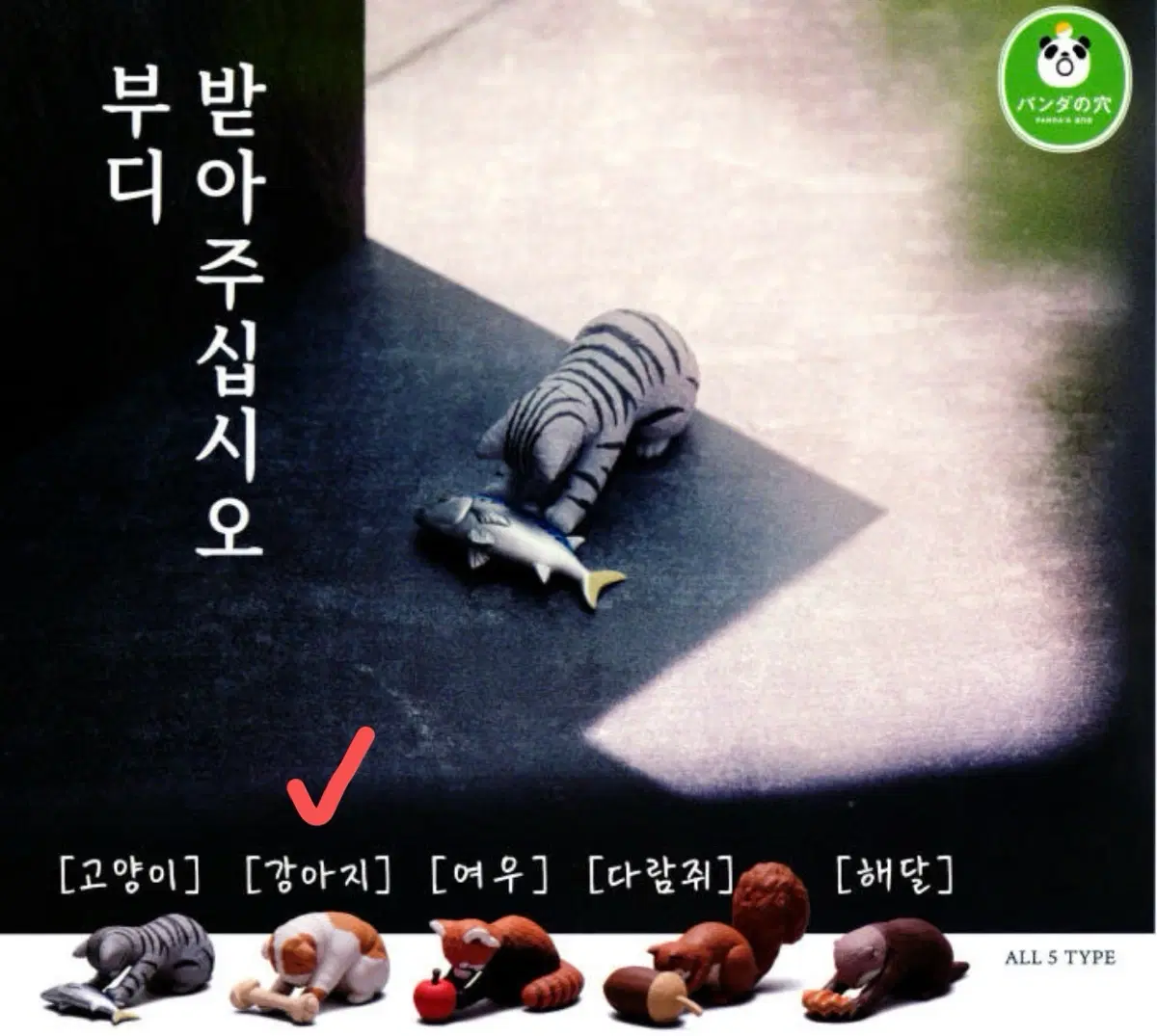 부디 받아주십시오 가챠 동물 가챠 캡슐 토이