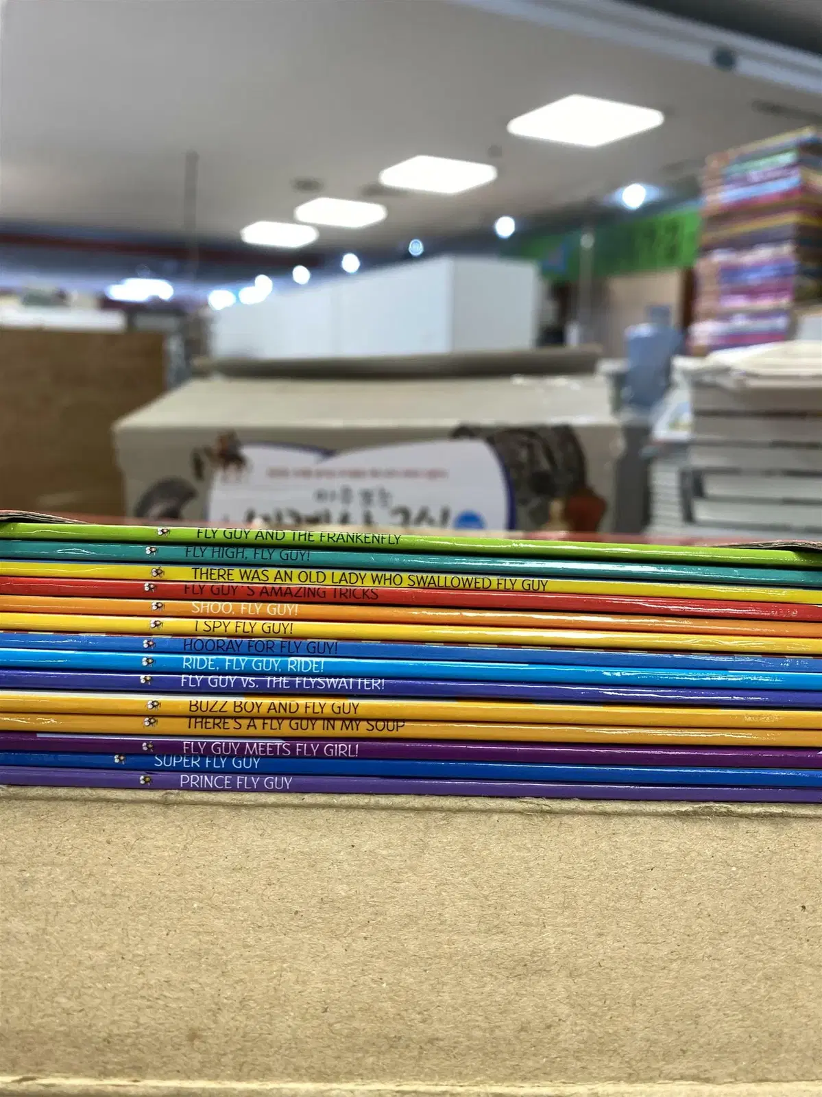 FLY GUY AND BUZZ Mega set SCHOLASTIC 14권 세트 영어원서 중고책