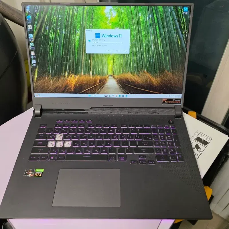 아수스 게이밍 노트북 5900hx, 3050i, 17인치