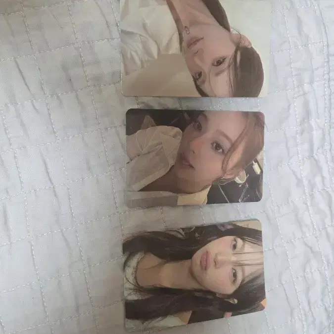 프나 앵콜콘 멤버십 포토카드