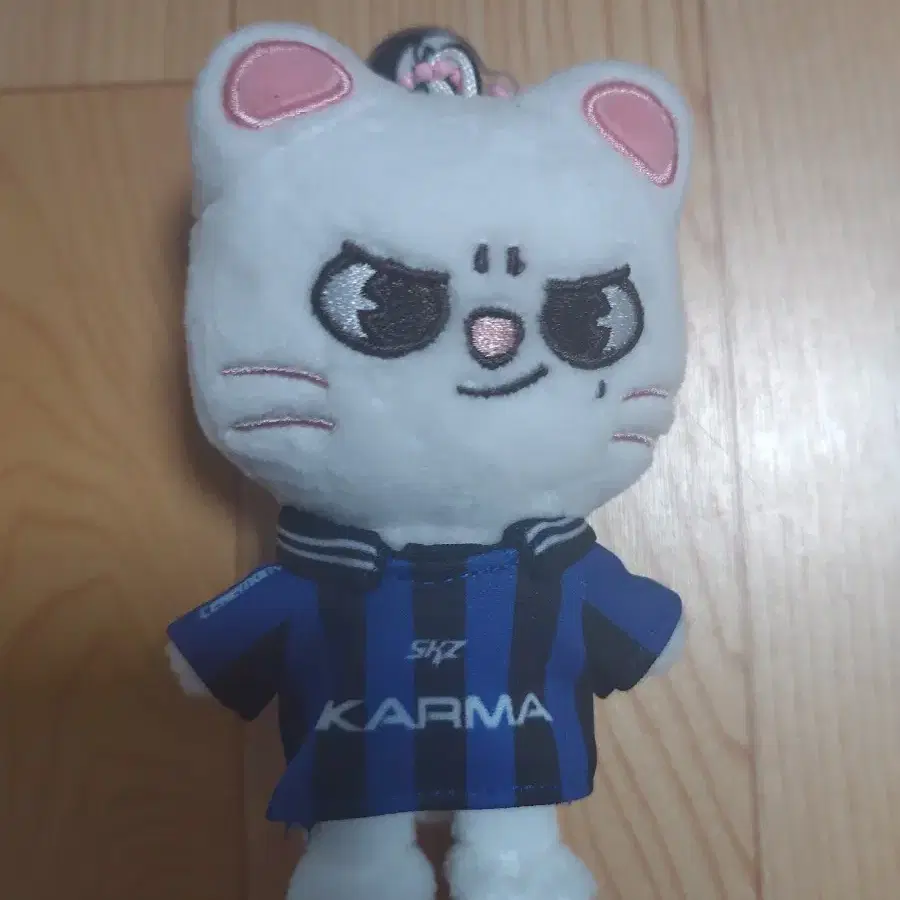 스키즈 스키주 지니렛 카르마 인형
