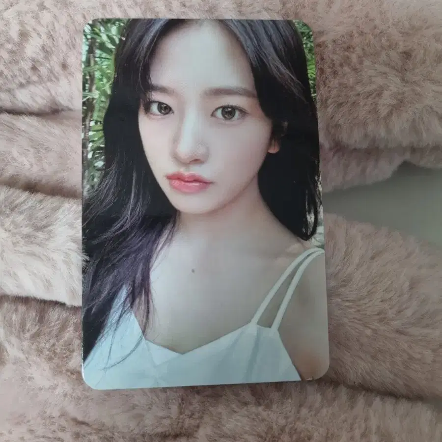 아이브 유진 포카!