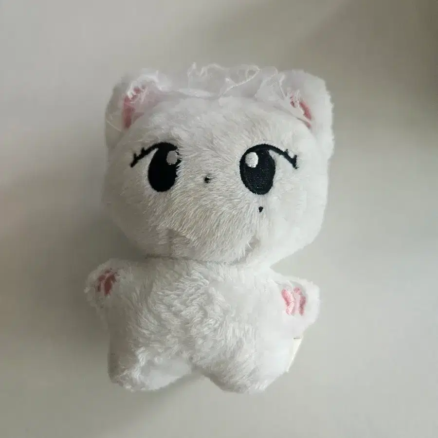 냥즈 팔아요