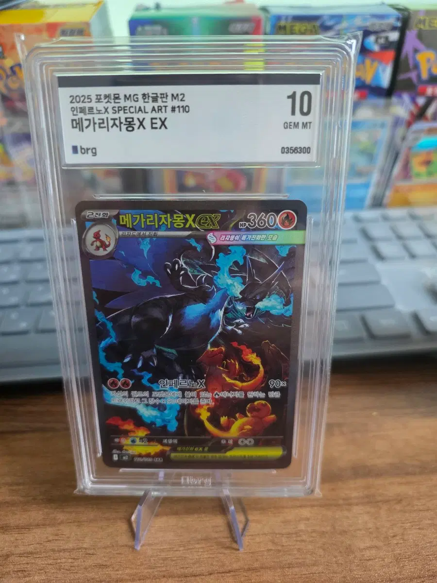 메가리자몽X. EX