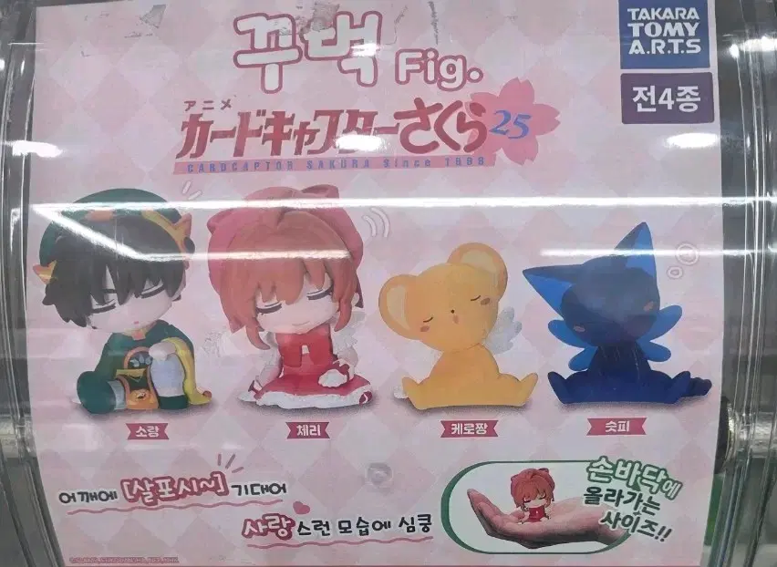 카드캡터체리 / 사쿠라 / 가챠 / 꾸벅 / 스피넬 / 미개봉